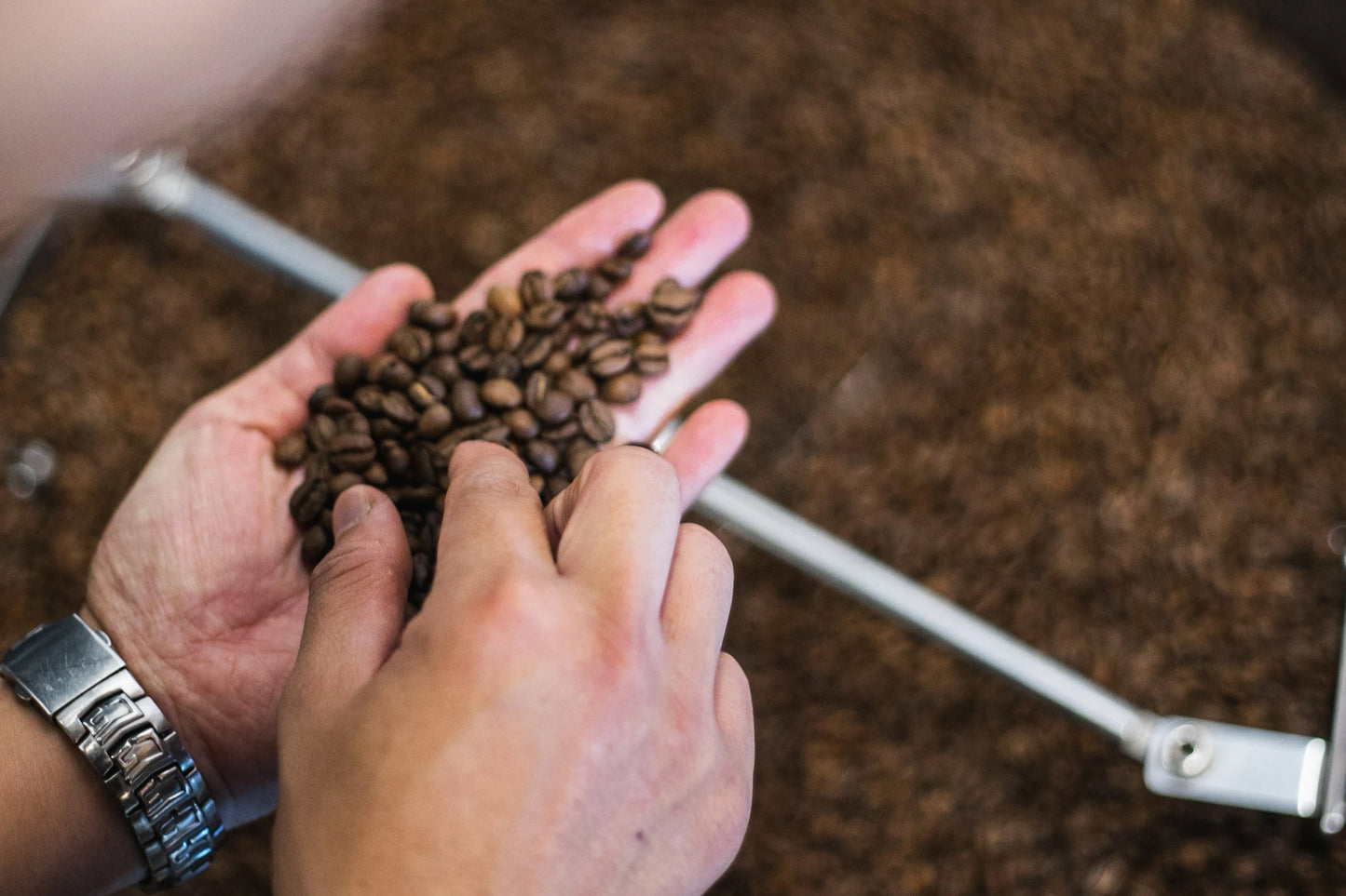 Why does coffee need to be roasted?