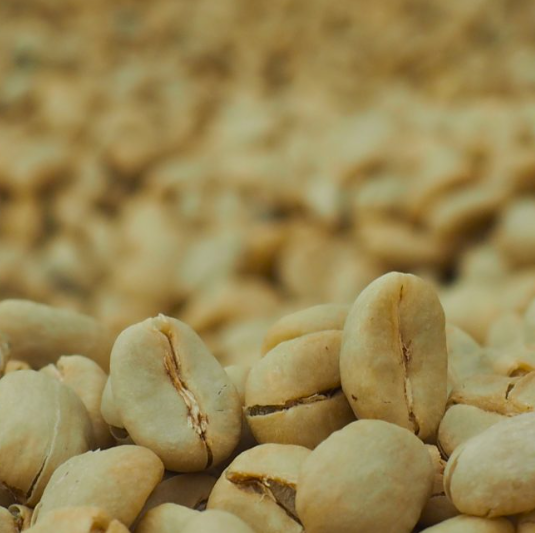 
                      
                        Ethiopia Coffee Single Origin-  Yirgacheffe Banko Taratu Washed
                      
                    