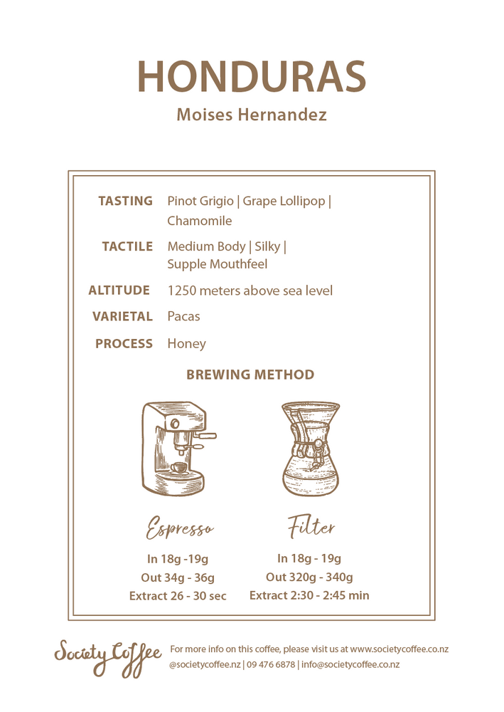
                      
                        Honduras Coffee Exotic Selection - "Moises Hernandez" Pacas Honey
                      
                    