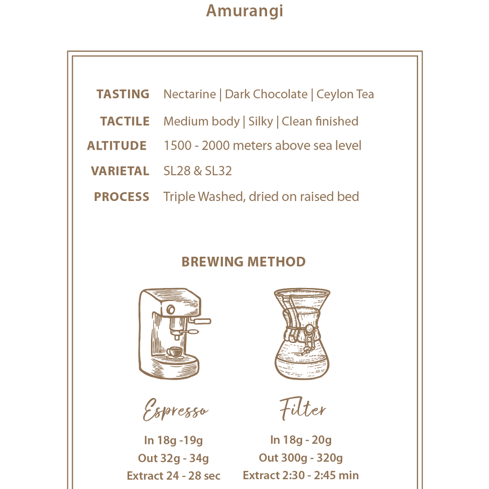 
                      
                        Kenya Coffee Single Origin-  Kenya Amurangi Nyambene AA Washed
                      
                    