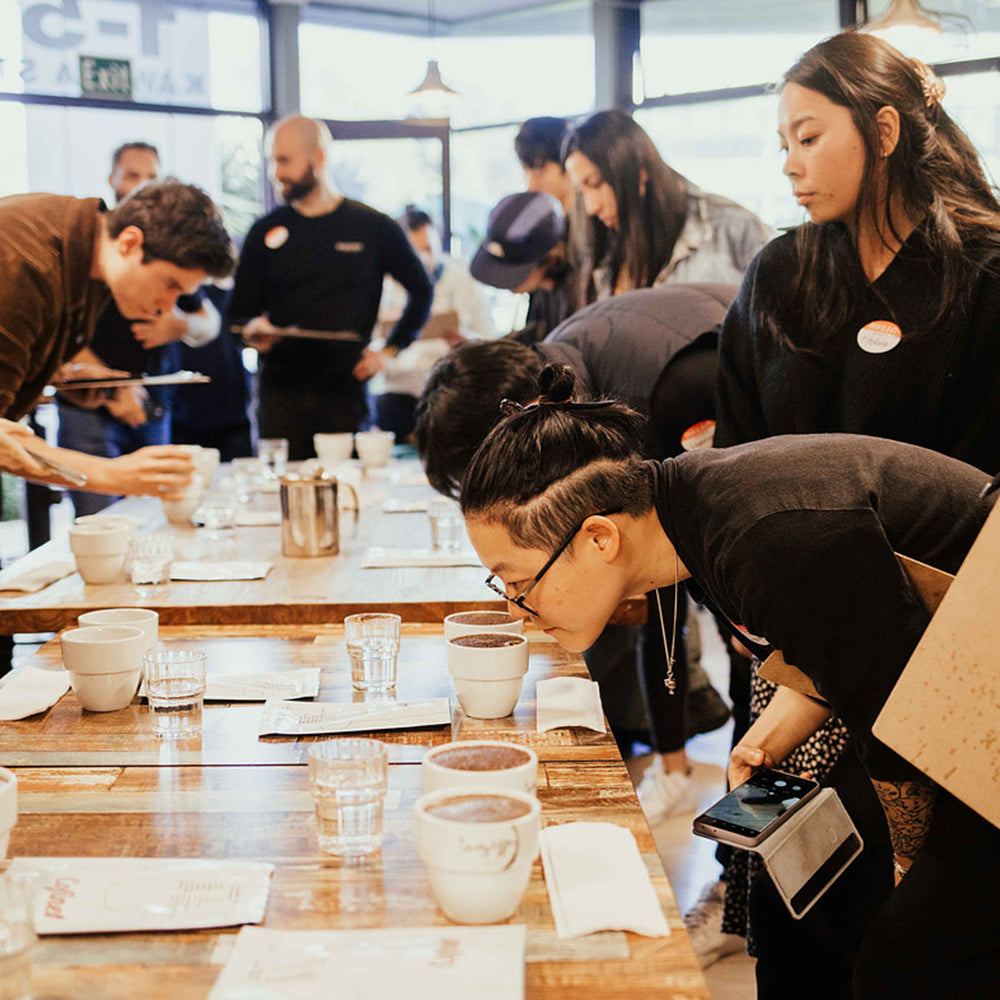 Society Coffee